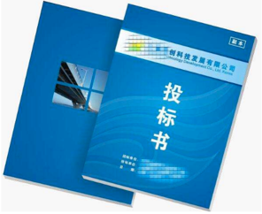 項目標(biāo)書翻譯多少錢，標(biāo)書翻譯公司報價
